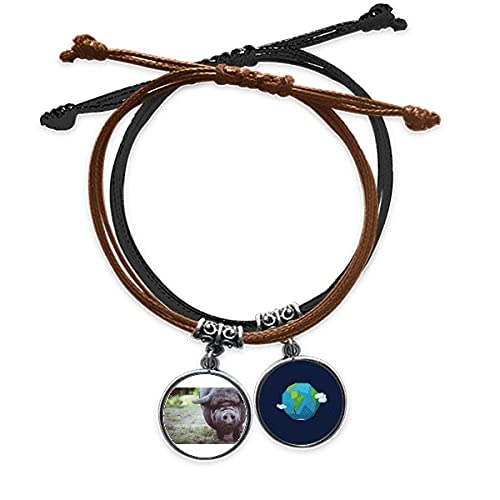 Pulsera de fotografía de animales salvajes terrestres en cuerda y cadena de cuero para mano