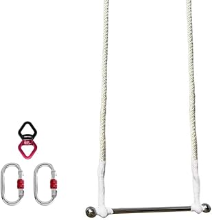 PRIOR FITNESS Silver Aerial Yoga Swing, Indoor Yoga Swing, Perfect for Inversion, Aerial Yoga, and Aerial Pilates, Trapeze Swing Suitable for Gym, Yoga Studio, Home, Garden, Acrobats