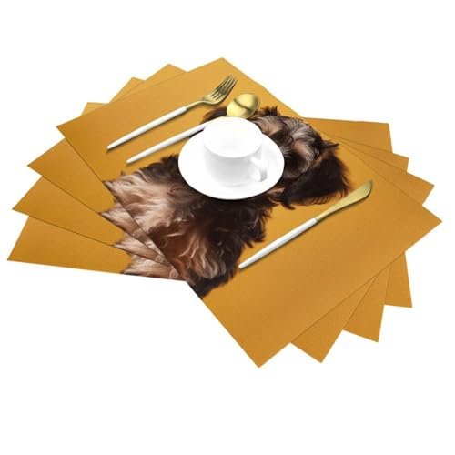 Napperons en PVC lavable noir pour protéger la table des taches