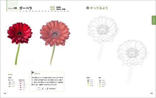 描き込み式 花の色鉛筆ワークブック ぬりえ感覚で花びらや葉っぱの色作りが上達する ひとみ 河合 本 通販 Amazon