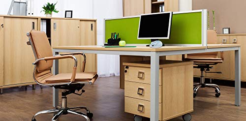 2.4Ghz Wireless Mouse Cute Hamster Shape Less Noice Portable Mobile Optical 1200Dpi Usb Mice Cordless Mouse For Pc Laptop Computer Notebook Macbook Kids Girl Gift (Blue) #TOP2