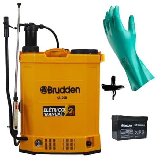 Kit Pulverizador Costal Elétrico Bateria Manual Para Veneno - Ss20b 20l + Par De Luvas Nítrilica Epi