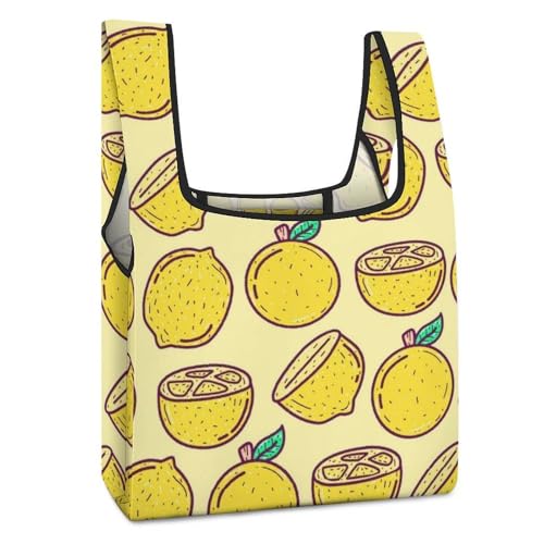 [EXDYNA] ܂肽  GRobO e y ϋv RpNg  VbsOobO Wܑp ^ѕ֗ g[g^ JԂg ʋ ʊw s