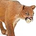 Safari Ltd. Mountain Lion Figurine - Realistic 5.5