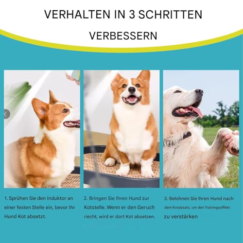 Duqulle Stubenrein Spray Für Hunde | Kot Auslöser Für Welpen - 150 ml Hundetoilettentrainingsspray für Teppich Möbel Innenbereich Garten Couch Außenbereich Haushalte Mit Mehreren Haustieren