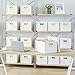 File Organizer File Box with Lid, Universal Hanging File Organizer, Letter/Legal Size File Folder Box, 2 Pack Plastic Office Document Filing Storage Bin