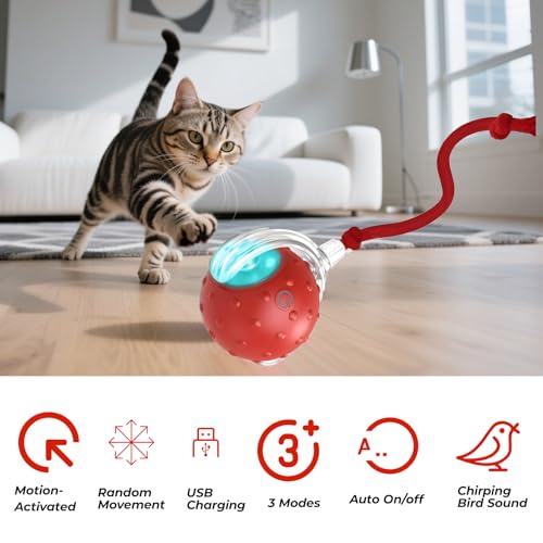 Interactive Cat Toys Ball - 2025 New Gen with Smart Obstacle Avoidance,Bird Chirps & Auto Wake-Up,Includes 1 Speedy Tail 2.0 Ropes, Ideal Kitten Toys for Bored Indoor Cats (Red)