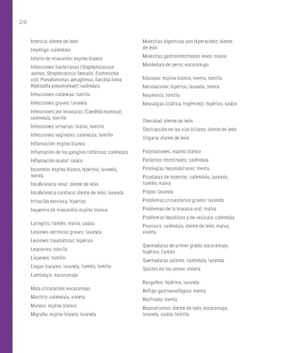Farmacia silvestre – vue 4