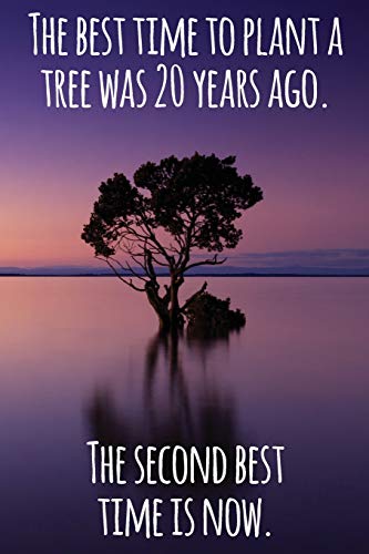 The Best Time To Plant A Tree Was 20 Years Ago. The Second Best Time Is Now.: Daily Sobriety Journal...
