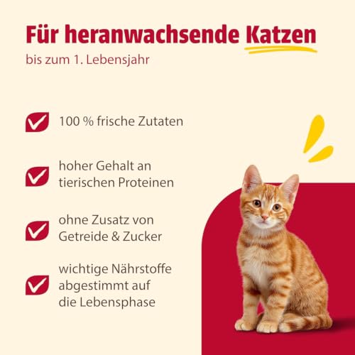 animonda Carny Kitten Nassfutter Variation für Katzenkinder (12 x 200 g)