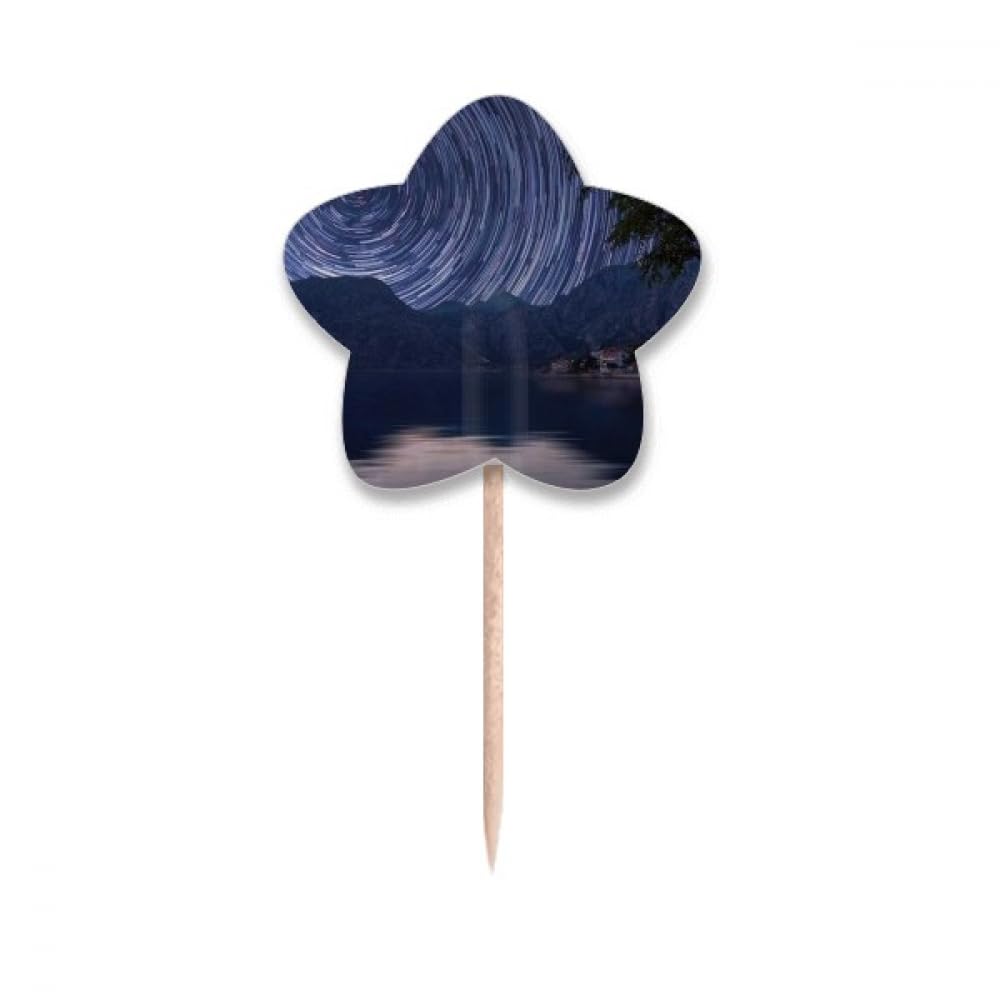 Cure-dents drapeaux étoiles cupcake picks décoration de table nuit étoilée