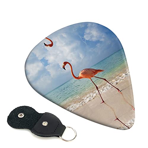Beautiful Flamingo Lot de 6 médiators pour guitare acoustique, guitare électrique, basse, ukulélé – fins, moyens et… - Les Beatles, Paul McCartney, John Lennon, RIngo Starr, George Harrison Beautiful Flamingo Lot de 6 médiators pour guitare acoustique, guitare électrique, basse, ukulélé – fins, moyens et…