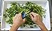 Happy Hydro Kief Collector - Trimming Tray for Buds | Laptop Trim Workstation | Double Plastic Trays
