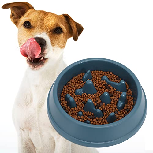 Best Maze Bowl For Dogs