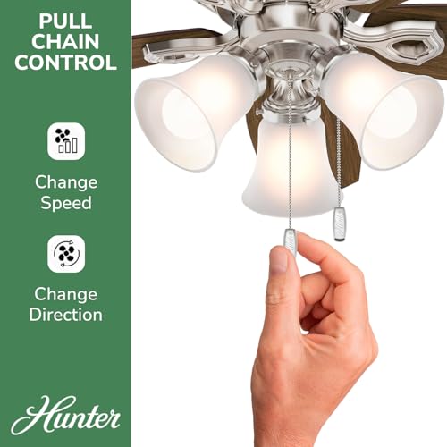 Image of Hunter Builder, Indoor, Ceiling Fan, Pull Chain, 42 inch, Brushed Nickel
