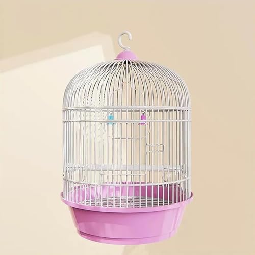 CokBluIJCREZLZCCREp ی^P[W o[hP[W Zbg GT 2 t nht TCY ȃXy[X  䟭 CeA ^сEړ֗ ꂩ񂽂 Ƃ肩