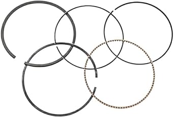 Piston Ring Set Compatible with Rosomaha Viking Ermak 800 GT GS 400 Mechanics RM800 100402-800-0000