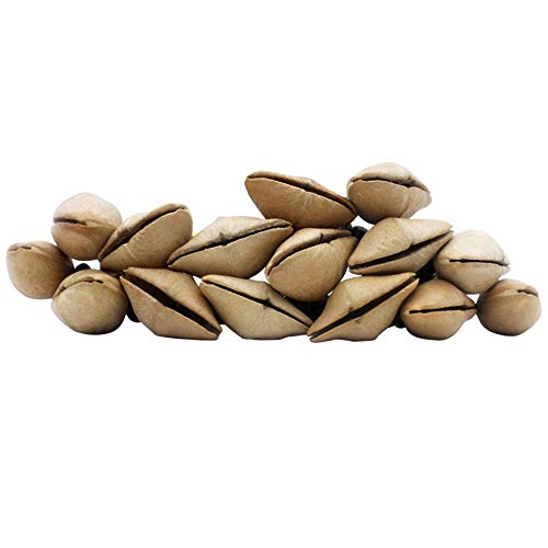 image for LNIMI 2PCS African Tribal Style Nuts Shell Bracelet Dora Nut Handbell 