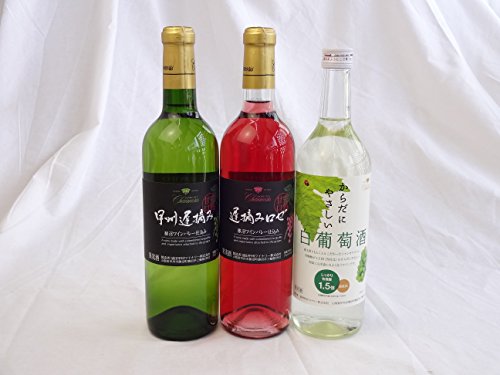 CZbg Ì VXyV3{ÌCZbg YԂǂ100gp 720ml×3{ cbBCi[(R)