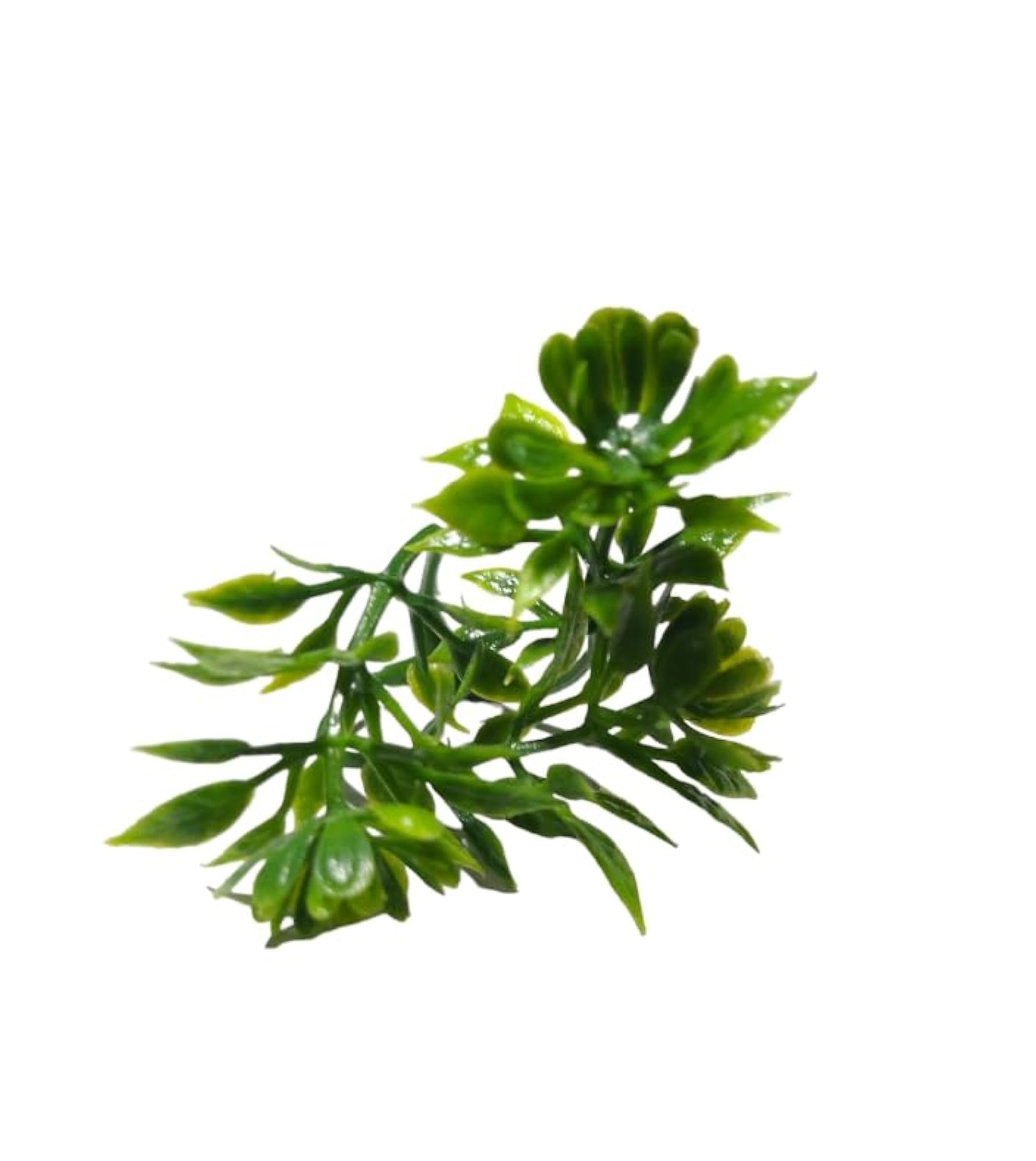 Artificial Small Green Plants for Home Decoration