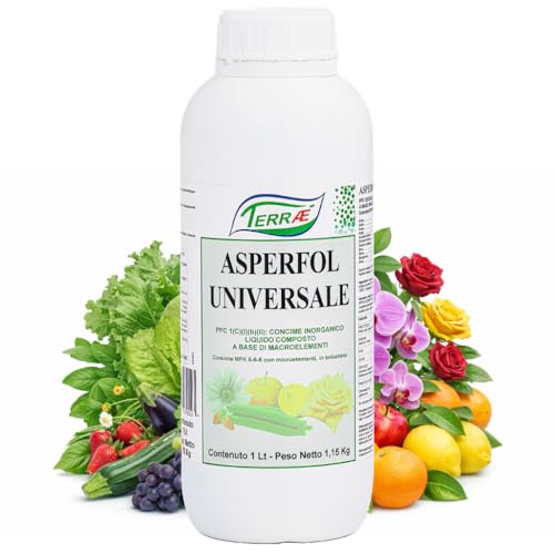 TERRAÉ Concime Liquido Universale 1L | NPK 6-6-6 con Microelementi | Nutrimento Professionale Completo | Concime Universale per Piante e Fiori | Fertilizzante Piante Verdi, per Orto e Agrumi