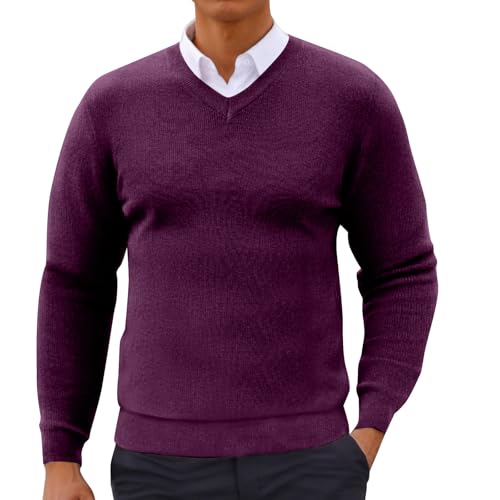 Mens V Neck Pullover Sweater Lightweight Wool Long Sleeve Knit Sweaters Casual Soft Lightweight Tops for Fall Winter Purple