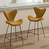 chairus