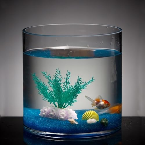 Bocal poisson cylindrique pour optimiser l'espace de décoration