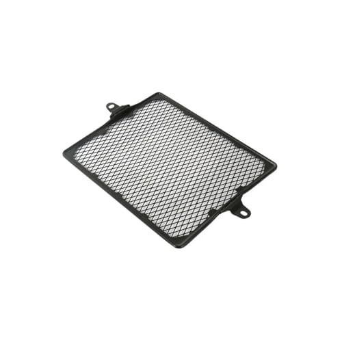 Accessoires Moto Speed 400 2025 Grille Métal pour Balade et Route