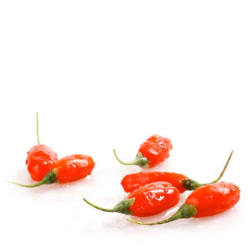 Vitamínicos, Imagen adicional