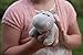 Baby Hippo Plush Toy | Super Soft Hippo Stuffed Animals | Cute Plushies for Kids' Bedroom or Playroom | 7-in Safari Stuffed Animals for Girls & Boys | Hippo Stuffed Animal Toys by Exceptional Home