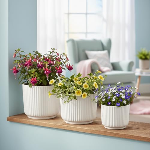 Image of Xtore Studio Ceramic Ribbed Planter Set | Vertical Groove Plant Pots for Home, Office, Balcony & Living Room Decor - (Set of 3, White, Planter ONLY)