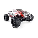 amewi rock crawler Terminator, der perfekte Einsteiger-Monstertruck