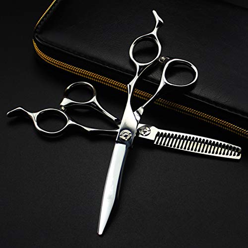 Ciseaux de coupe de cheveux professionnels avec lames d'amincissement en argent
