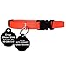 Kitty Convict Personalized Cat ID Collars (Orange Cat Collar w/Custom Pet ID Tag)