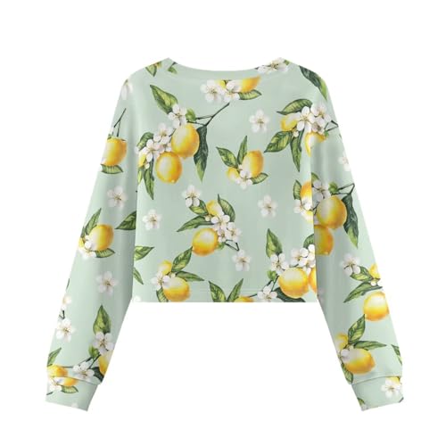 Girls Long Sleeve Shirts Kids Crop Tops Cute Sweatshirt Pullover Tops Crewneck Spring Fall Shirts Size 5-144