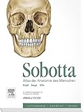  Sobotta, Atlas der Anatomie des Menschen Heft 7: Kopf, Auge, Ohr