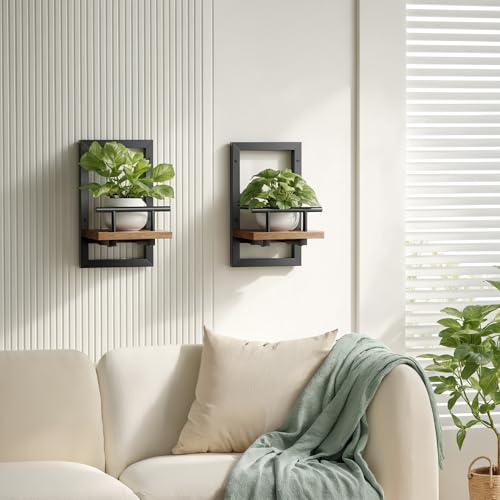 Sbosbo Floating Shelves for Wall, Plant Shelf Indoor, Wall Planters for Indoor Floating Plant Shelves for Bedroom, Living Room, Kitchen, Office, Bathroom Decor (2 Pack) - Image 3