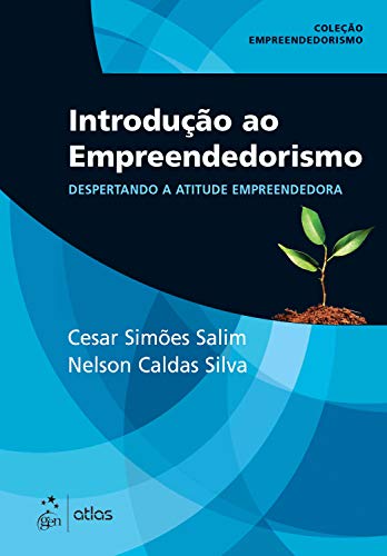 Introdução ao empreendedorismo: despertando a atitude empreendedora