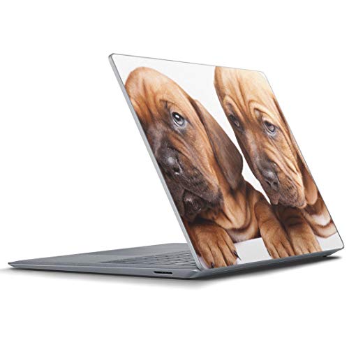 igsticker Surface Laptop4 / Laptop3 / Laptop2 / Laptop 13.5C` pXLV[ Microsoft T[tFX T[tBX m[gubN m[gp\R Jo[ P[X tB XebJ[ 
