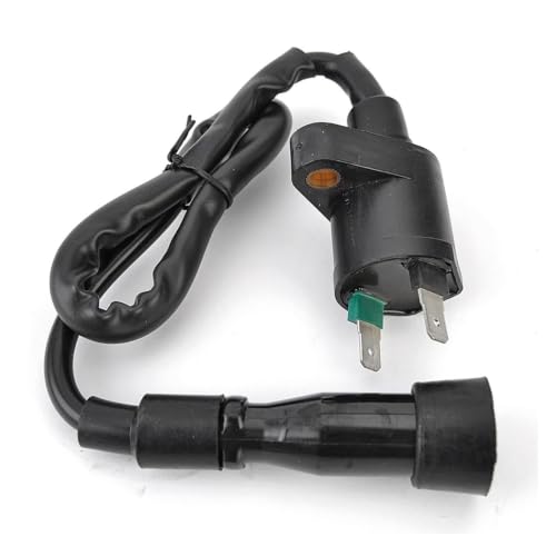 Bobine d'allumage assy pour Adly ATV 400 afin de réparer les ratés moteur