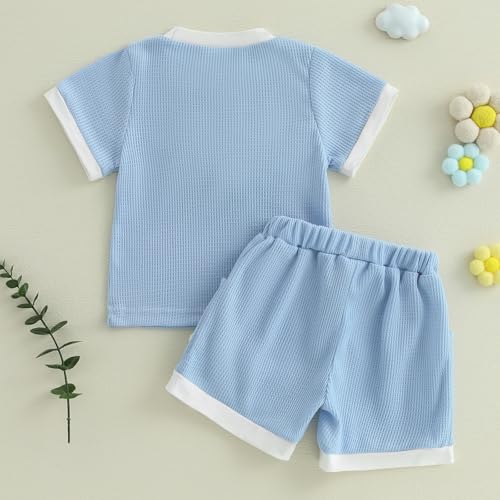 Toddler Baby Girl Clothes Waffle Knit Embroidered Short Sleeve Shirt Shorts Cute Boho Summer Outfit Clothing Set4