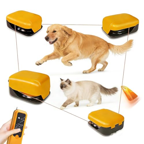 Kit di addestramento motorizzato per cani con velocità regolabile per giochi di inseguimento interni ed esterni
