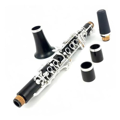 G{j[{fBVo[bLL[ Eb Tone Nlbg؊Ǌy [P[XƃANZT[t