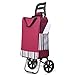 JHYFT Carrello della Spesa Carrello della Spesa, Carrello della Spesa Portatile, Carrello della Spesa Pieghevole 2in1 e Carrello a Mano Super Loading 35Kg, Tessuto Oxford Impermeabile (C) (B)