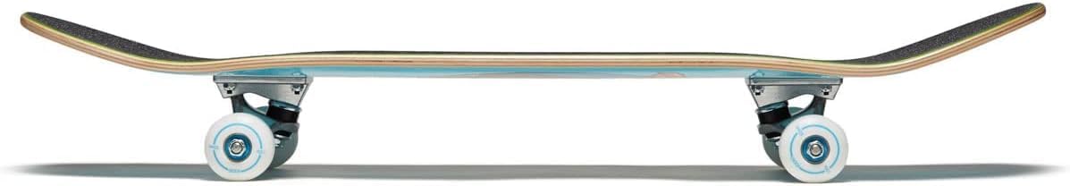 [CCS] Graphic Skateboard Complete | Maple Wood | Professional Grade | Fully Assembled with Skate Tool & Stickers | Adults, Kids, Teens, Youth | Boys & Girls