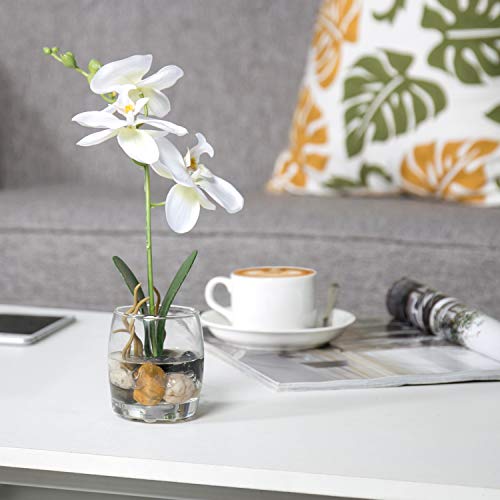 Mygift 12-Inch Synthetic White Silk Artificial Phalaenopsis Orchid In Glass Vase #TOP1
