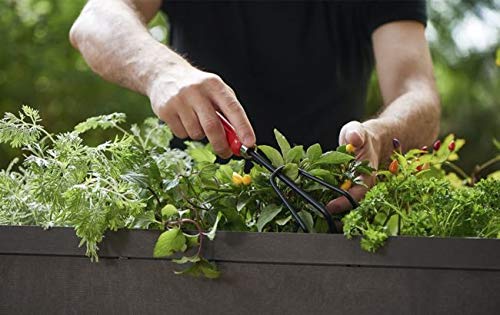 Keter Xl Urban Bloomer Resin Elevated Planter Raised Garden Bed #TOP4