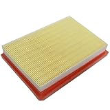 Aegena Air Filter Compatible With Chevrolet 2011-96950990 96950991