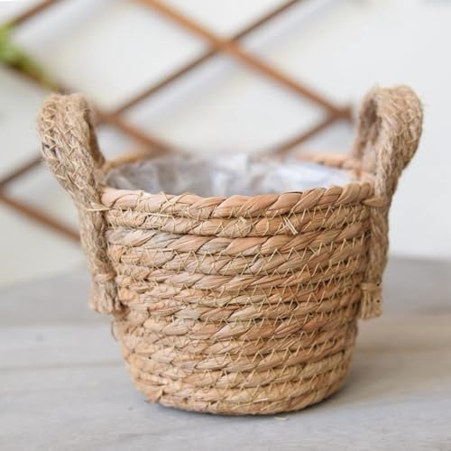 Ladfrol 呐҂ݐAؔ呐҂݉ԂA҂ݍ~ (C:15*15*11CM) [sAi]